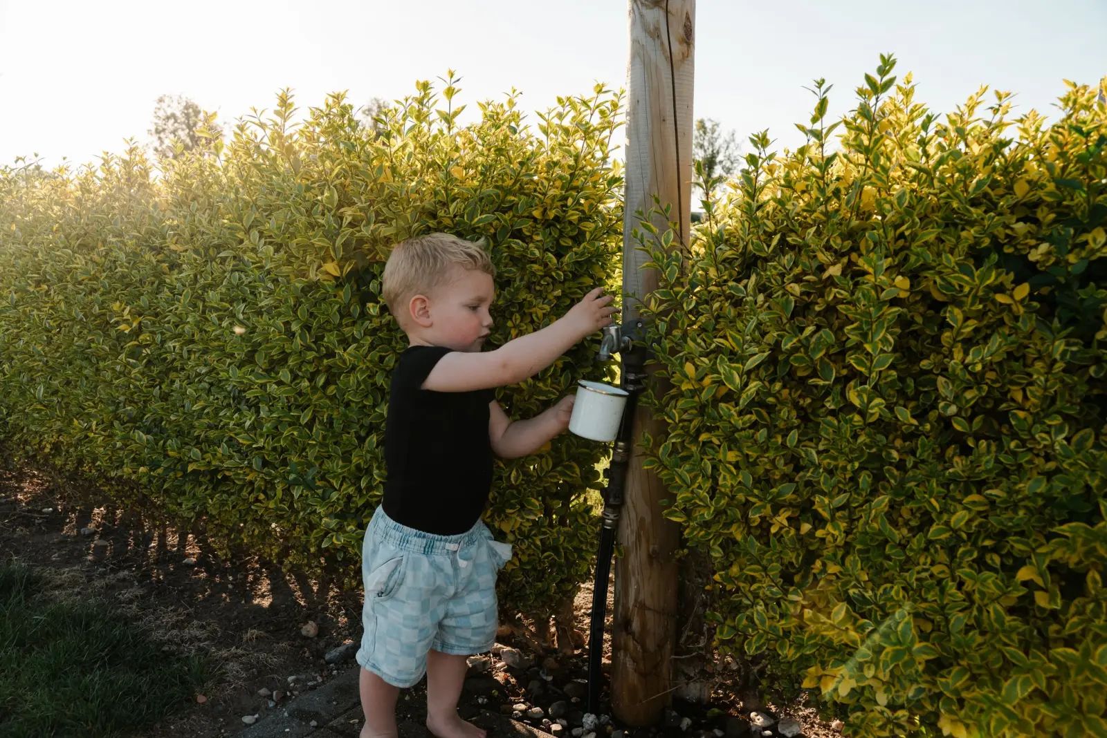 Enfant puisant de l'eau potable près de la haie — Het Platte Putje