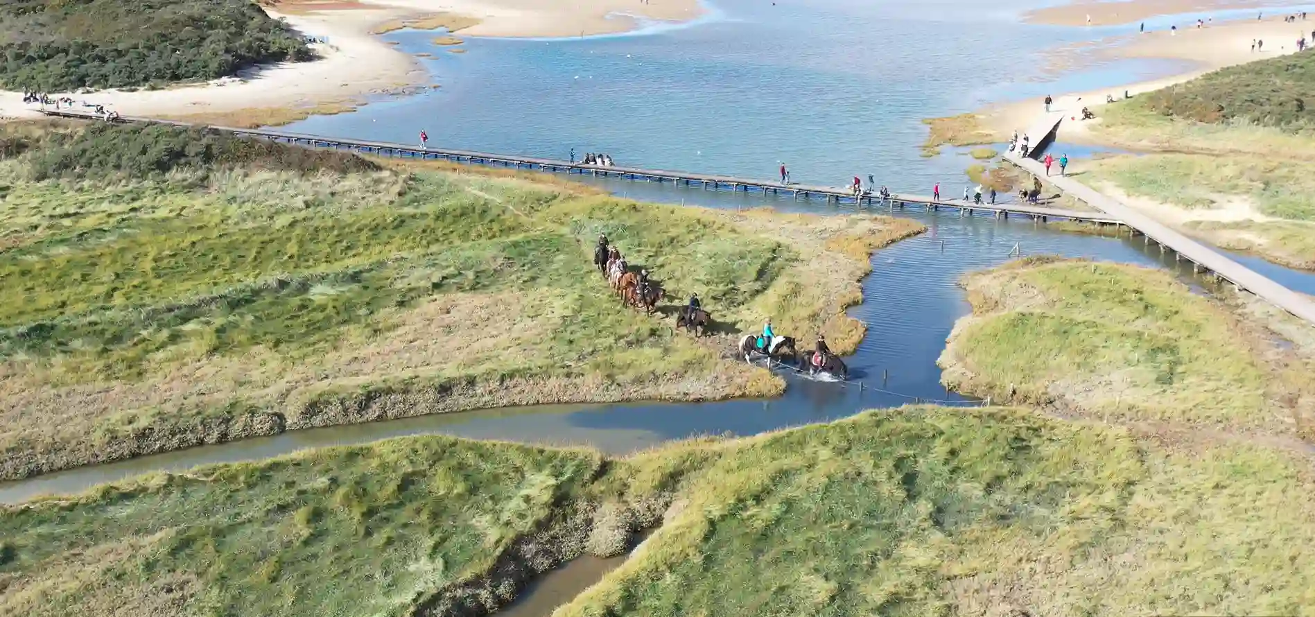 Strand toegankelijk voor paarden Zeeuws-Vlaanderen 2
