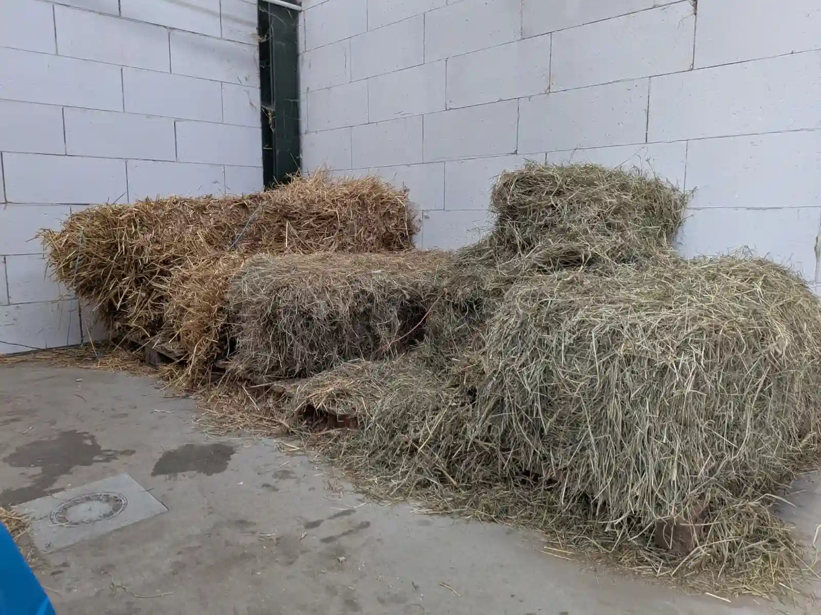 Paardenboxen Dorpscamping Groede 2