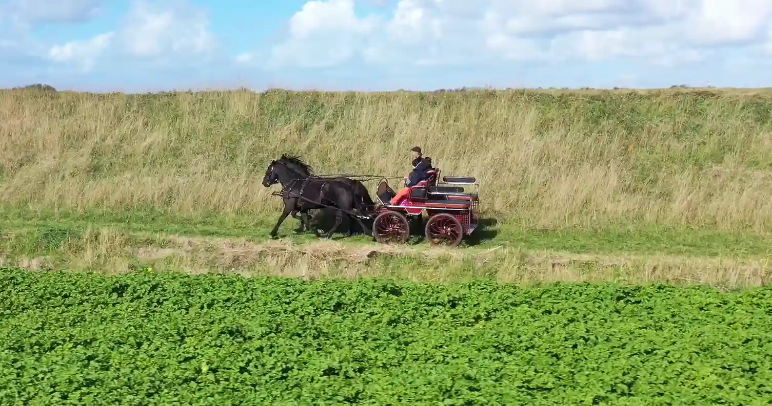 Strand toegankelijk voor paarden Zeeuws-Vlaanderen 3