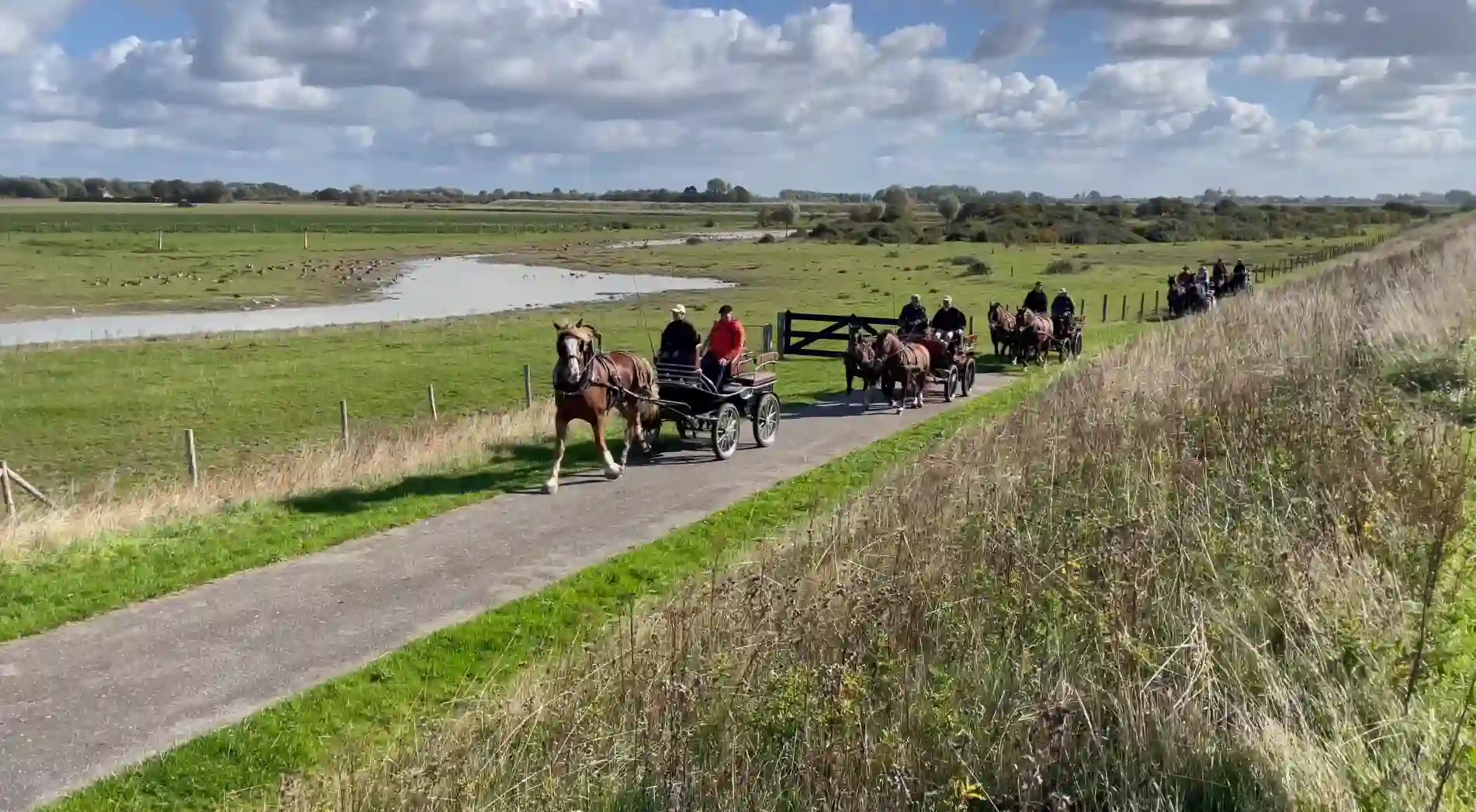 Strand toegankelijk voor paarden Zeeuws-Vlaanderen 4